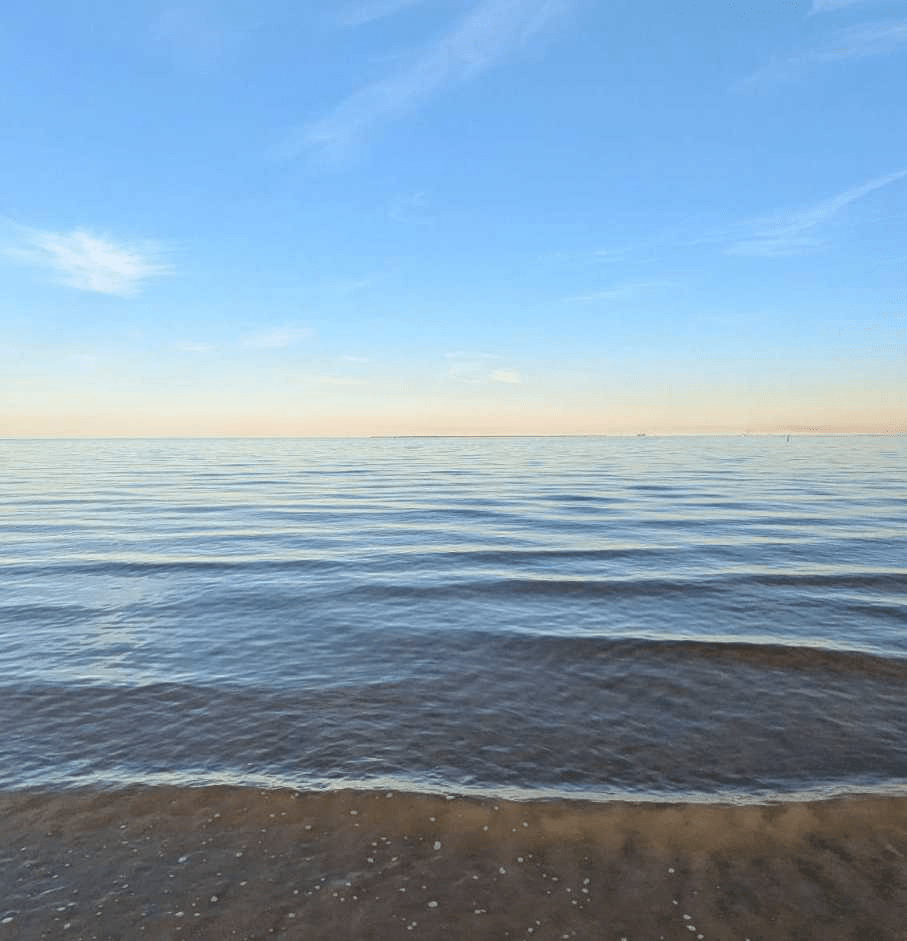 Data Justice Projections For the New&nbsp;Year